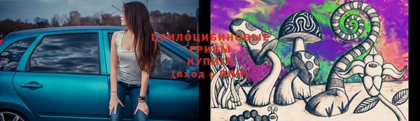 твердый Вязьма