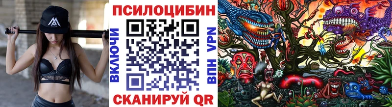 Псилоцибиновые грибы GOLDEN TEACHER  Купить где  Новоуральск 